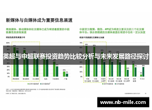 英超与中超联赛投资趋势比较分析与未来发展路径探讨
