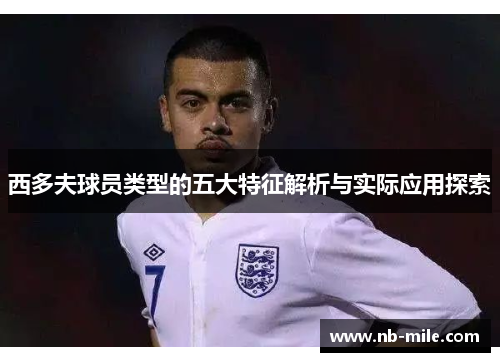 西多夫球员类型的五大特征解析与实际应用探索