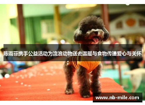 陈雨菲携手公益活动为流浪动物送去温暖与食物传递爱心与关怀