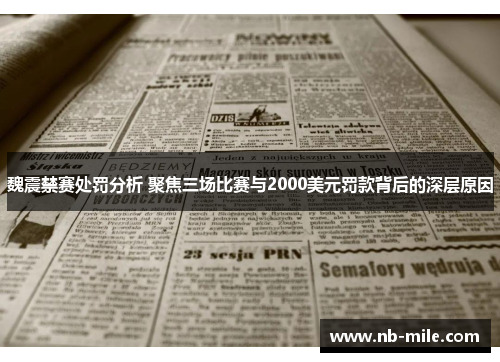 魏震禁赛处罚分析 聚焦三场比赛与2000美元罚款背后的深层原因