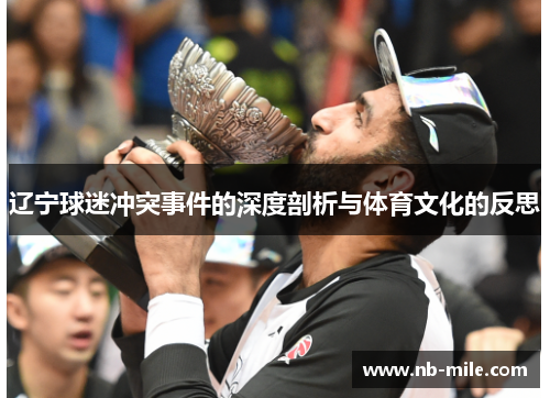 辽宁球迷冲突事件的深度剖析与体育文化的反思